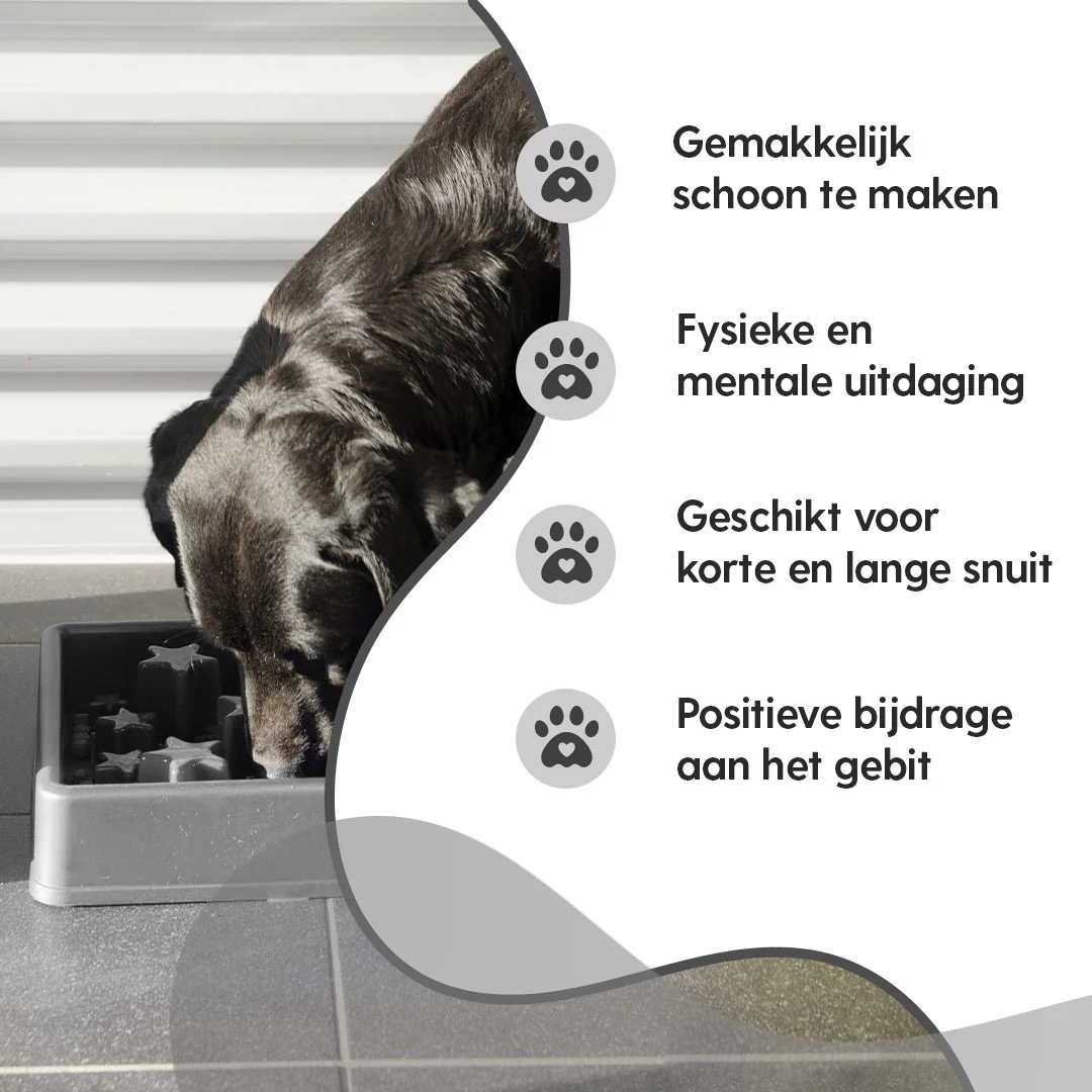 Miska spowalniająca jedzenie dla psa z gwiaździstym wzorem, XS 14 cm, szara – Eat Slow Live Longer Star - obrazek 4