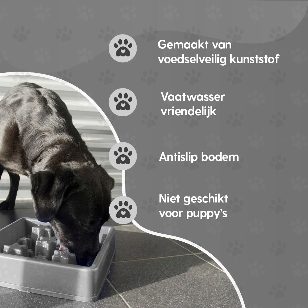 Miska spowalniająca jedzenie dla psa z gwiaździstym wzorem, XS 14 cm, szara – Eat Slow Live Longer Star - obrazek 5