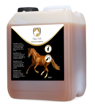 Suplement na stawy dla koni z glukozaminą i MSM, 2,5 l – Excellent Horse Flex HA