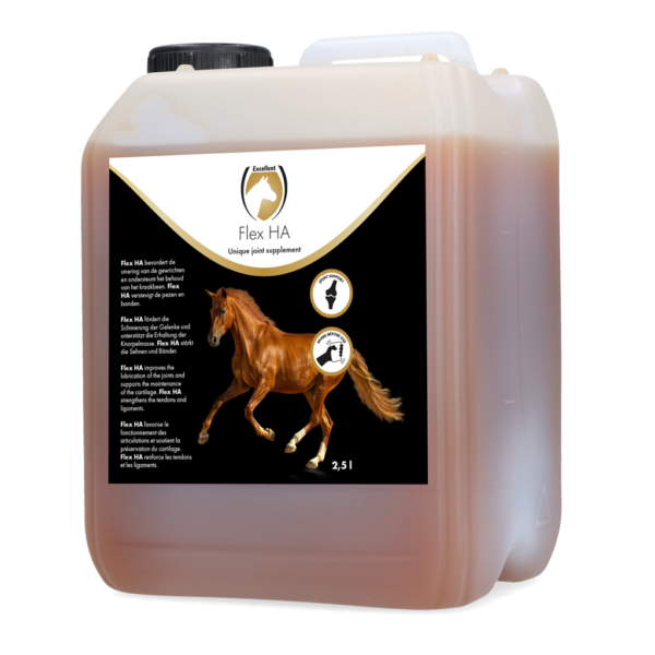 Suplement na stawy dla koni z glukozaminą i MSM, 2,5 l – Excellent Horse Flex HA
