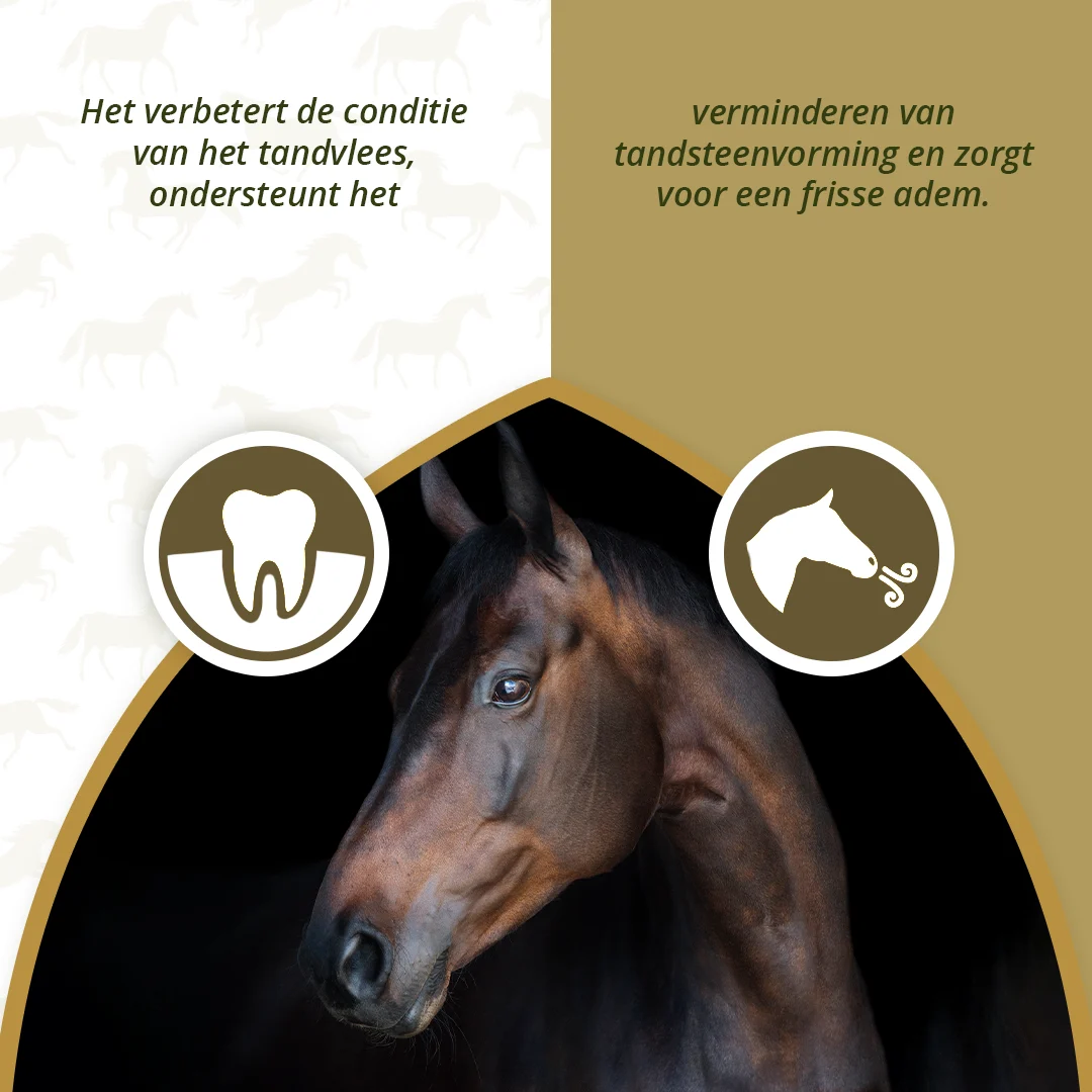 Suplement na zęby dla koni z suszonymi warzywami i ziołami, 1 kg – Excellent Horse Dental Care - obrazek 3