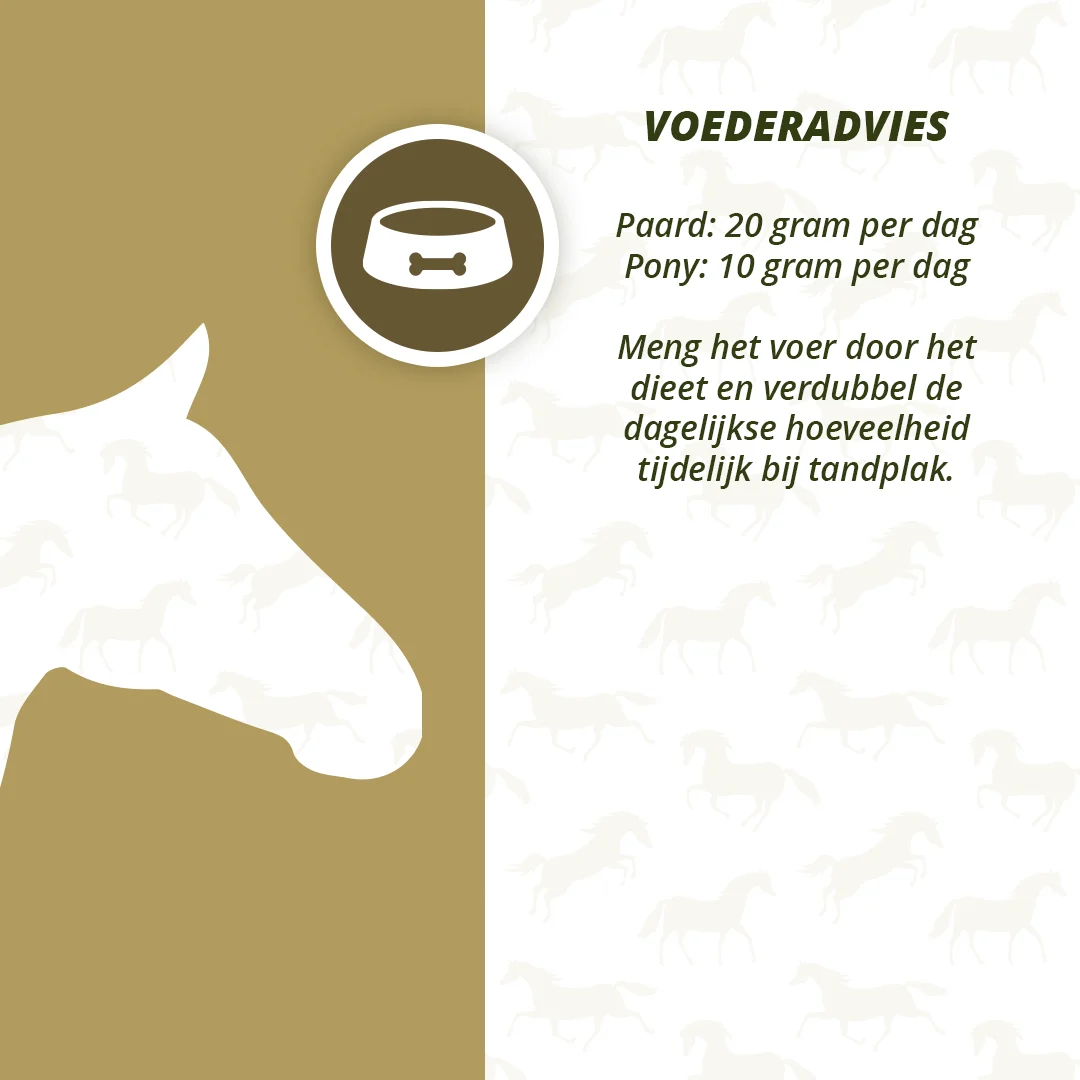 Suplement na zęby dla koni z suszonymi warzywami i ziołami, 1 kg – Excellent Horse Dental Care - obrazek 4