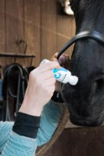 Gąbka neutralizująca zapach dla koni z olejkami eterycznymi, 75 ml – Excellent Horse Odour Spons-On - obrazek 4
