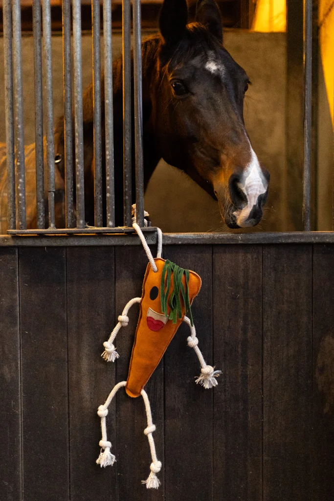 Zabawka dla konia do stajni ze skóry z wypełnieniem z juty, marchewka, 40 x 16 x 5 cm – Excellent Horse Foodie Friends Carrot - obrazek 3