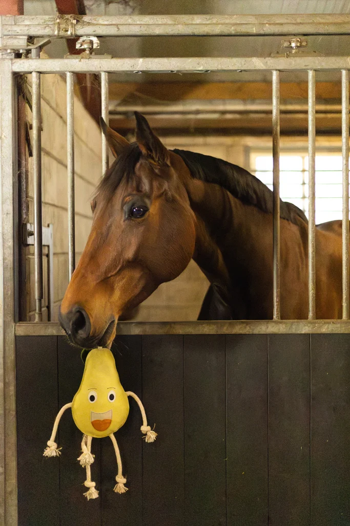 Zabawka do stajni dla koni ze skóry z wypełnieniem jutowym, gruszka, 28 x 18 x 7 cm – Excellent Horse Foodie Friends Pear - obrazek 4