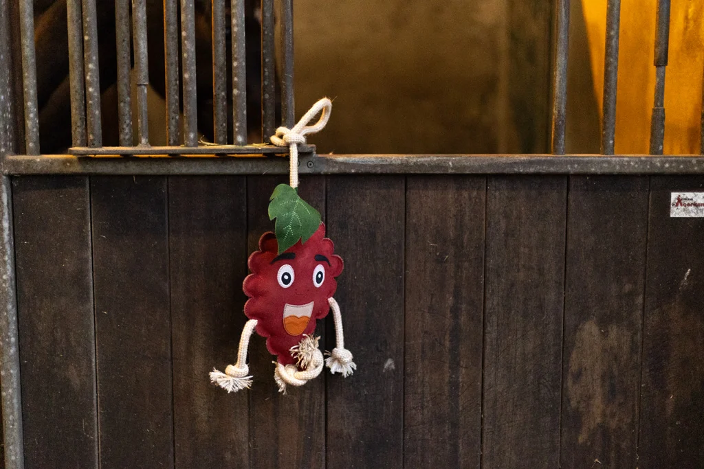 Zabawka dla konia w kształcie maliny z wypełnieniem jutowym, 29 x 20 x 5 cm – Excellent Horse Foodie Friends Raspberry - obrazek 3
