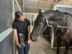 Ciasteczka dla koni z jabłkiem, 500 g – Excellent Horse Rzemieślnicze ciasteczka dla koni z jabłkiem - obrazek 4