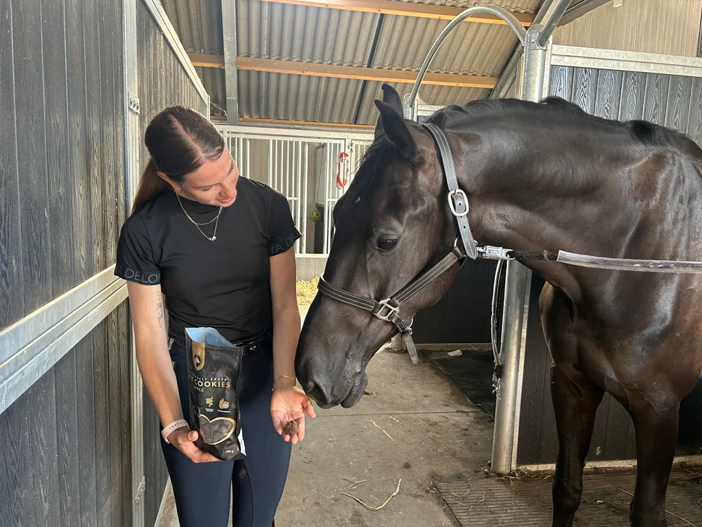 Ciasteczka dla koni z jabłkiem, 500 g – Excellent Horse Rzemieślnicze ciasteczka dla koni z jabłkiem - obrazek 4