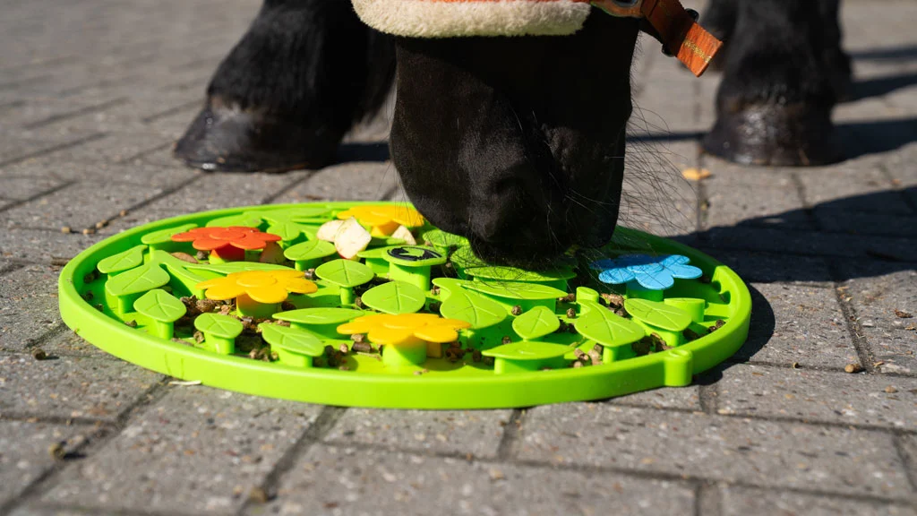 Mata węchowa dla konia na paszę i przysmaki – Excellent Horse Snuffle Mat Flower Power - obrazek 4