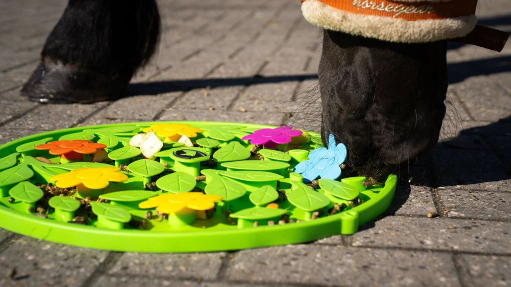 Mata węchowa dla konia na paszę i przysmaki – Excellent Horse Snuffle Mat Flower Power - obrazek 3