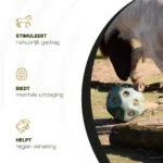 Piłka na paszę dla koni z otworami, zielona – Excellent Horse Feed & Play Ball - obrazek 6