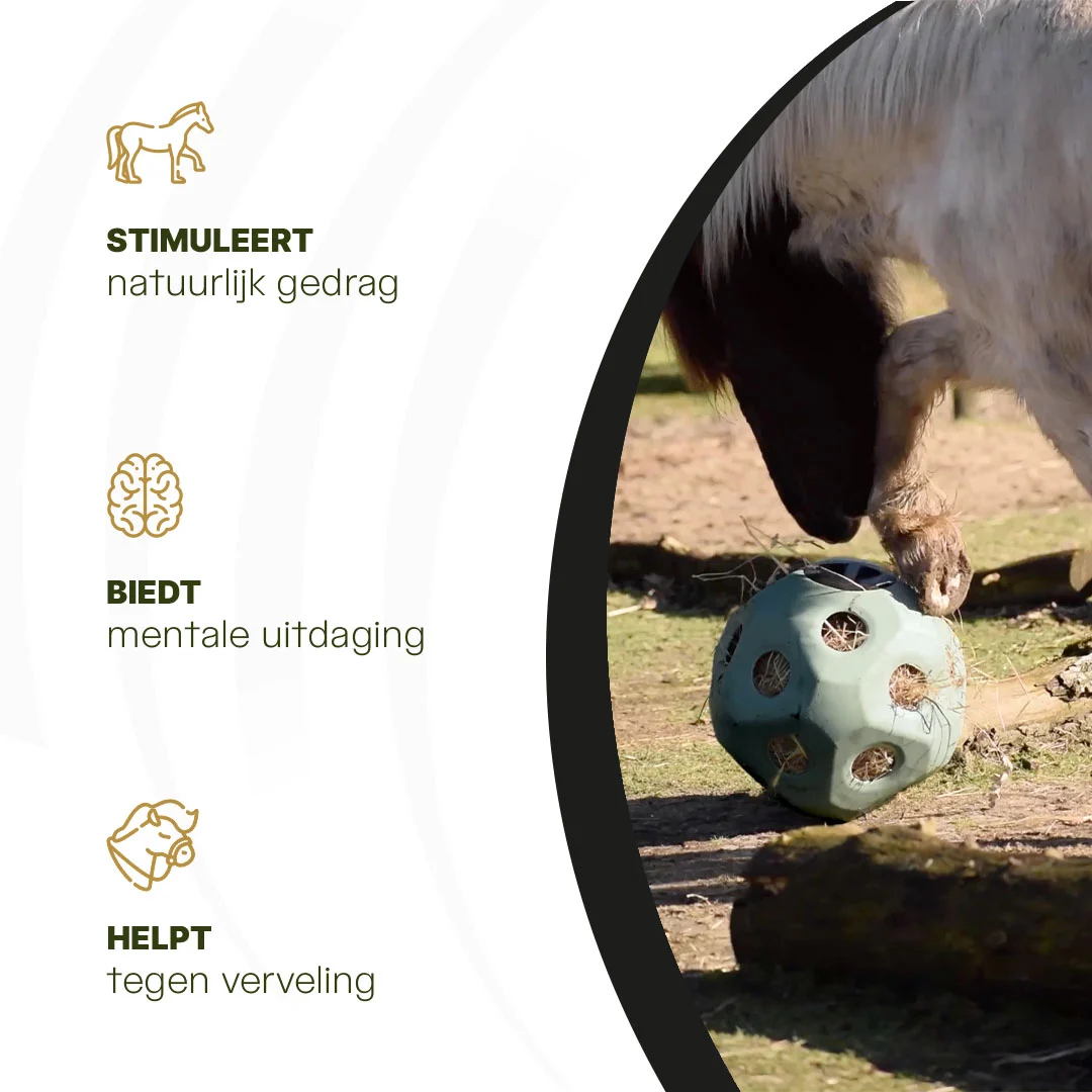 Piłka na paszę dla koni z otworami, zielona – Excellent Horse Feed & Play Ball - obrazek 6