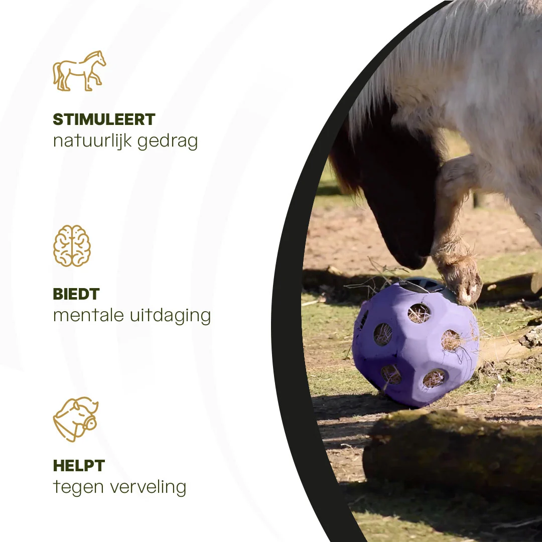 Piłka na paszę dla koni z otworami, fioletowa – Excellent Horse Feed & Play Ball - obrazek 6