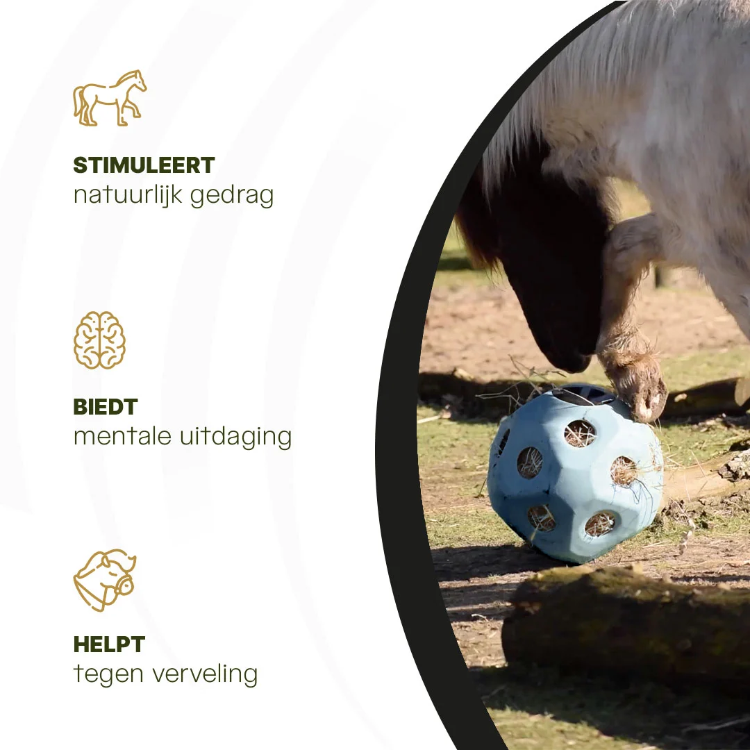 Piłka na paszę dla koni z otworami, niebieska – Excellent Horse Feed & Play Ball - obrazek 6