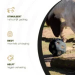 Kula na paszę dla koni z otworami na paszę, czarna – Excellent Horse Feed & Play Ball - obrazek 6