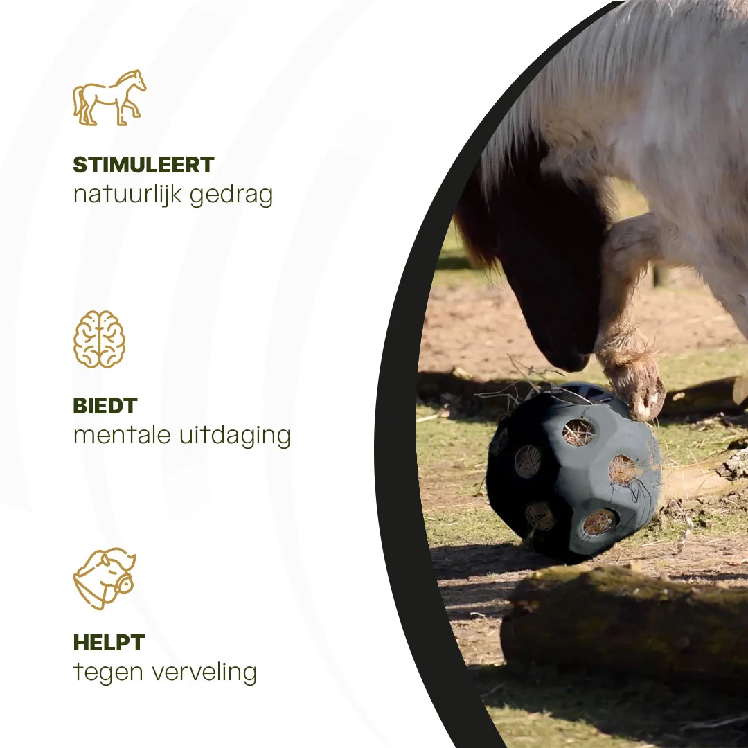 Kula na paszę dla koni z otworami na paszę, czarna – Excellent Horse Feed & Play Ball - obrazek 6