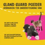 Suplement w proszku dla psów i kotów z prebiotykami i probiotykami – Excellent Pets Gland Guard Powder - obrazek 3