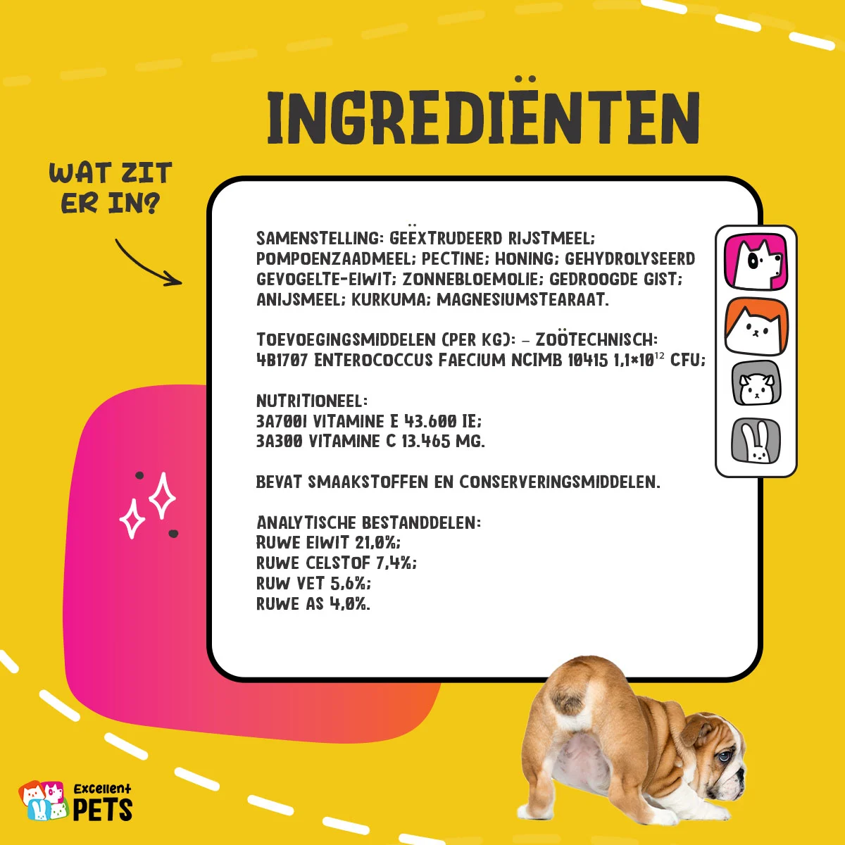 Suplement w proszku dla psów i kotów z prebiotykami i probiotykami – Excellent Pets Gland Guard Powder - obrazek 5