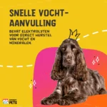Pasta wspomagająca trawienie dla zwierząt domowych z elektrolitami, 30 ml – Excellent Pets Digestive Support - obrazek 5
