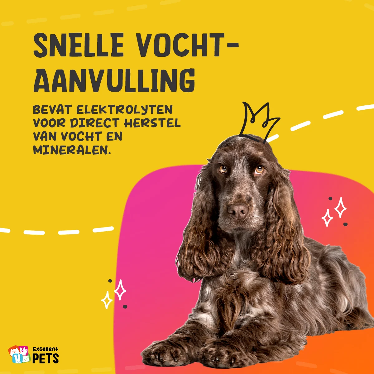 Pasta wspomagająca trawienie dla zwierząt domowych z elektrolitami, 30 ml – Excellent Pets Digestive Support - obrazek 5