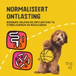Pasta wspomagająca trawienie dla zwierząt domowych z elektrolitami, 30 ml – Excellent Pets Digestive Support - obrazek 6