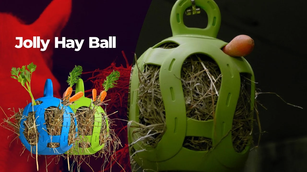 Piłka na przysmaki dla koni z elastycznej gumy, zielona, 20 cm – Jolly Pets Jolly Hay Ball - obrazek 3