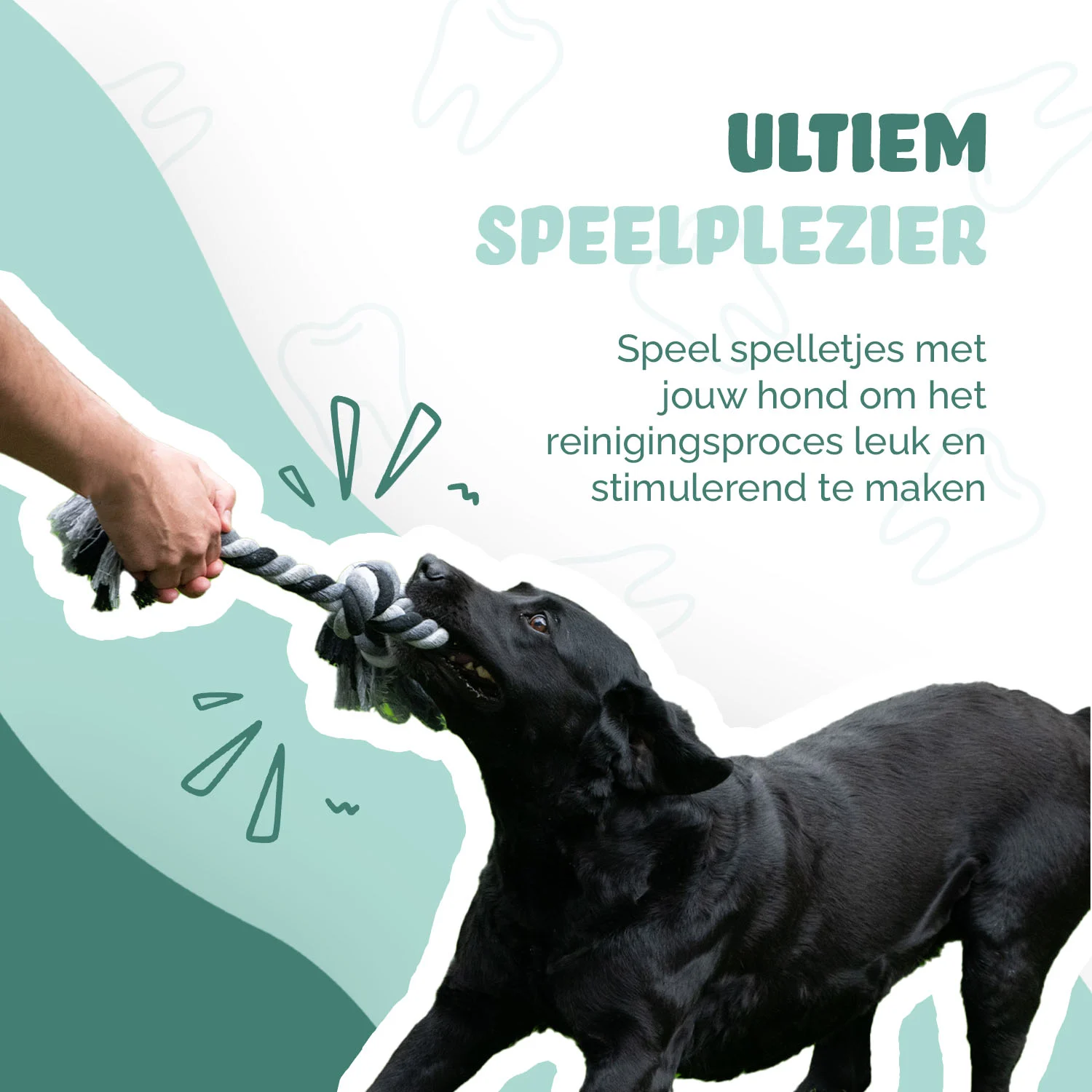 Bawełniany sznur dla psa z piłką, 60 cm – Floss Toss Natural Dental Ropes Dental Rope Exteme Tug and Ball - obrazek 4
