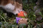 Zabawka myszka dla kota z szyszki i filcu z Madnip, pomarańczowa, 8 cm – Forest Friends Mouse - obrazek 3