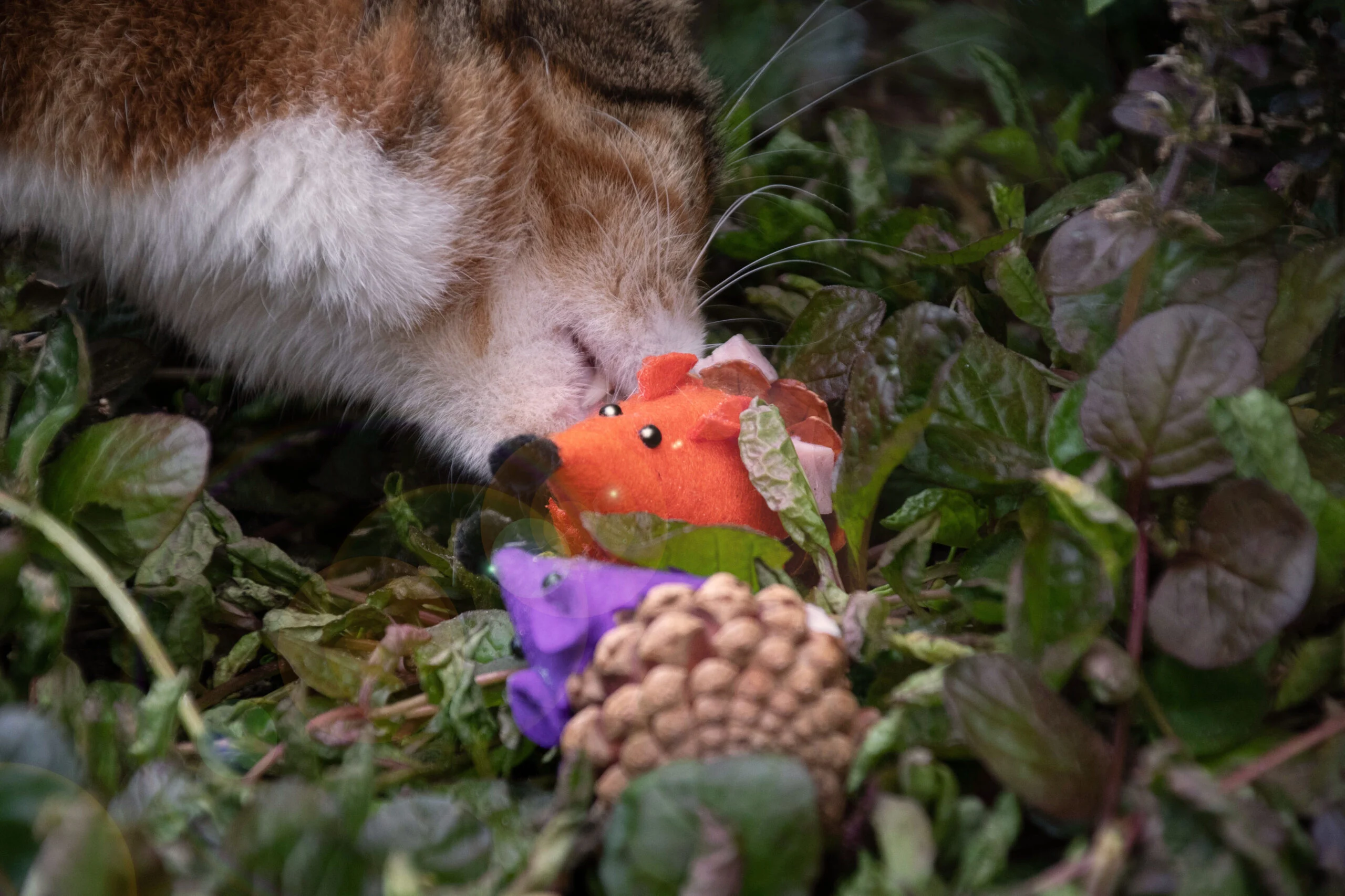 Zabawka myszka dla kota z szyszki i filcu z Madnip, pomarańczowa, 8 cm – Forest Friends Mouse - obrazek 3