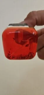 Pułapka na muszki owocówki do użytku wewnątrz pomieszczeń, 20 ml – Knock Pest - obrazek 3