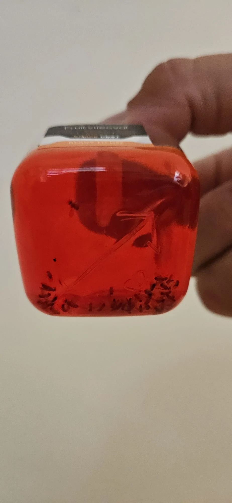 Pułapka na muszki owocówki do użytku wewnątrz pomieszczeń, 20 ml – Knock Pest - obrazek 3