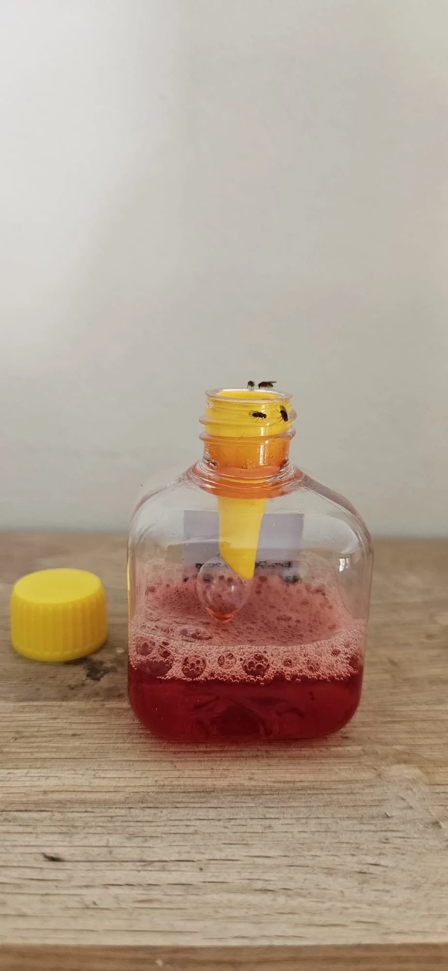 Pułapka na muszki owocówki do użytku wewnątrz pomieszczeń, 20 ml – Knock Pest - obrazek 4