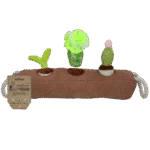 Pudełko węchowe dla psa z wyjmowanymi roślinkami – Garden Paws Snuffle Box Sprout, Crop & Cactus