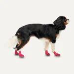 Wodoodporne buty dla psa z gumową podeszwą, 4 sztuki, XL, czerwone i czarne – Goo-eez Lites - obrazek 2