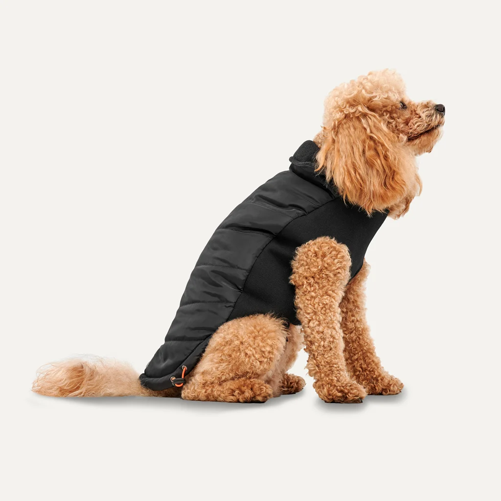 Kurtka dla psa z pluszową podszewką i wodoodporną zewnętrzną warstwą, rozmiar XL, czarna – Goo-eez Mock Neck Signature Wrap Jacket - obrazek 1