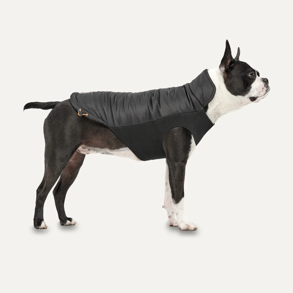 Kurtka dla psa z pluszową podszewką i wodoodporną powłoką zewnętrzną, rozmiar XXL, czarna – Goo-eez Mock Neck Signature Wrap Jacket - obrazek 2