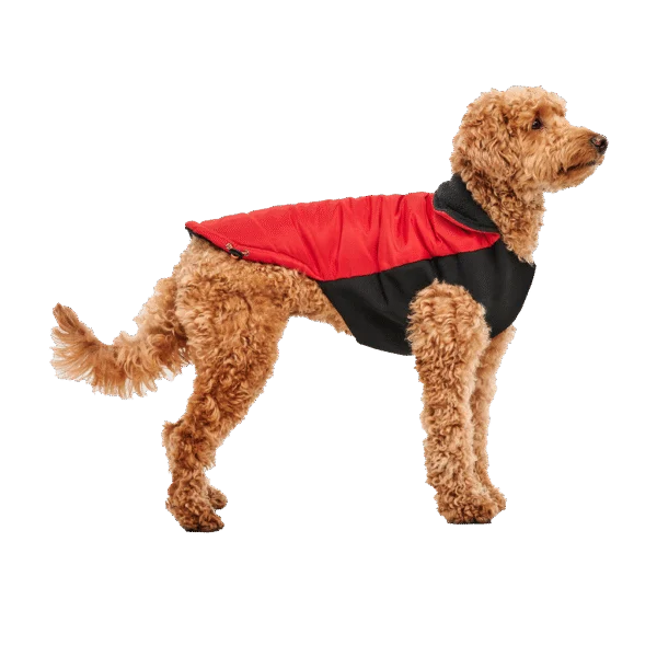 Kurtka dla psa z pluszową podszewką i wodoodporną warstwą zewnętrzną, rozmiar XL, czerwono czarna – Goo-eez Mock Neck Signature Wrap Jacket