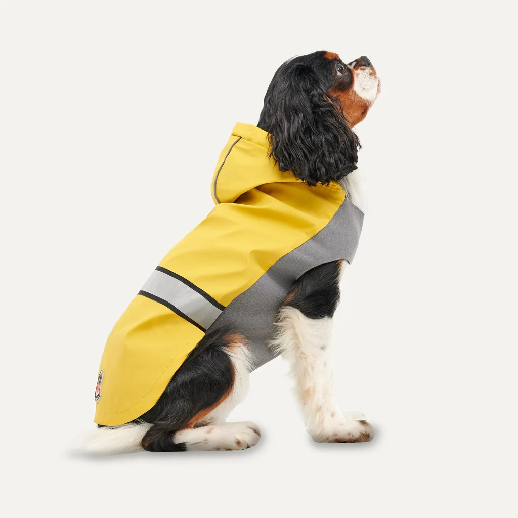 Płaszcz przeciwdeszczowy dla psa z kapturem i odblaskowym obszyciem, XXL, długość grzbietu 64 cm, żółty i szary – Goo-eez Reflective Hooded Raincoat - obrazek 1