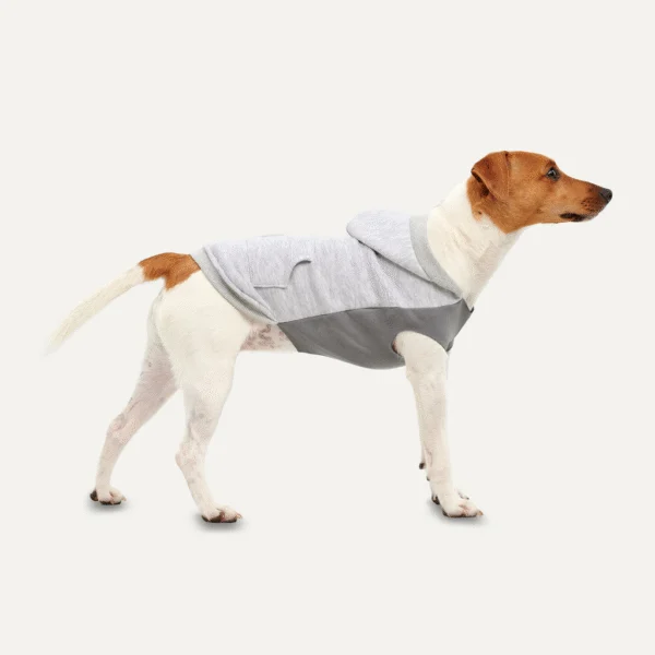 Bluza polarowa dla psa z pluszową podszewką, rozmiar S, szara – Goo-eez Kangaroo Fleece Hoodie