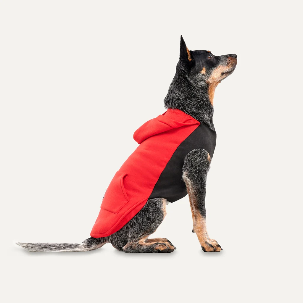 Bluza polarowa dla psa z pluszową podszewką, rozmiar XS, czerwona i czarna – Goo-eez Kangaroo Fleece Hoodie - obrazek 1