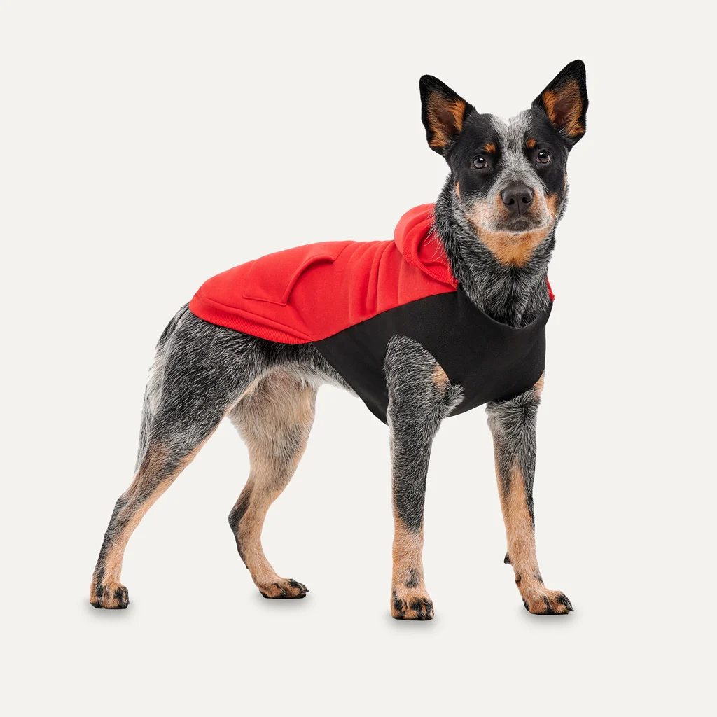 Bluza polarowa dla psa z pluszową podszewką, rozmiar S, czerwona i czarna – Goo-eez Kangaroo Fleece Hoodie - obrazek 3