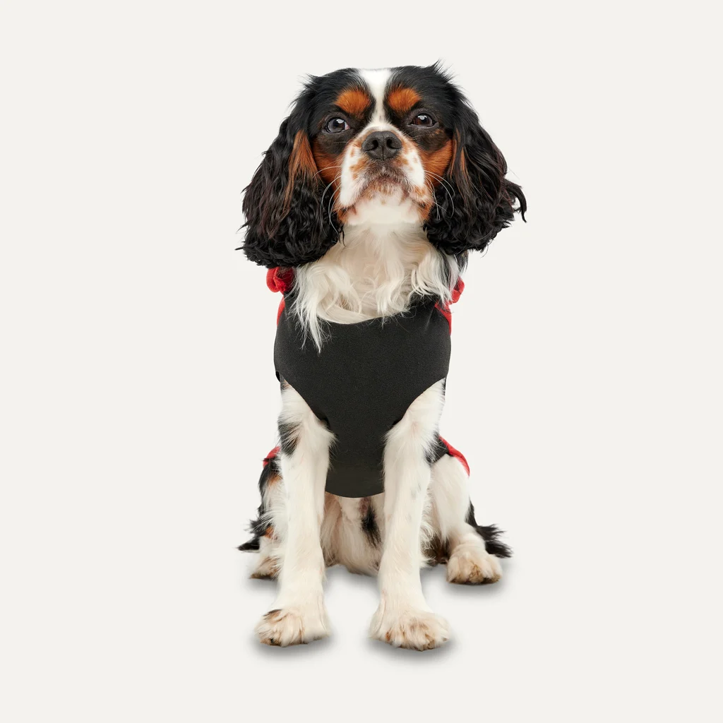 Bluza z kapturem dla psa z polaru i pluszową podszewką, rozmiar L, czerwono czarna – Goo-eez Kangaroo Fleece Hoodie - obrazek 2