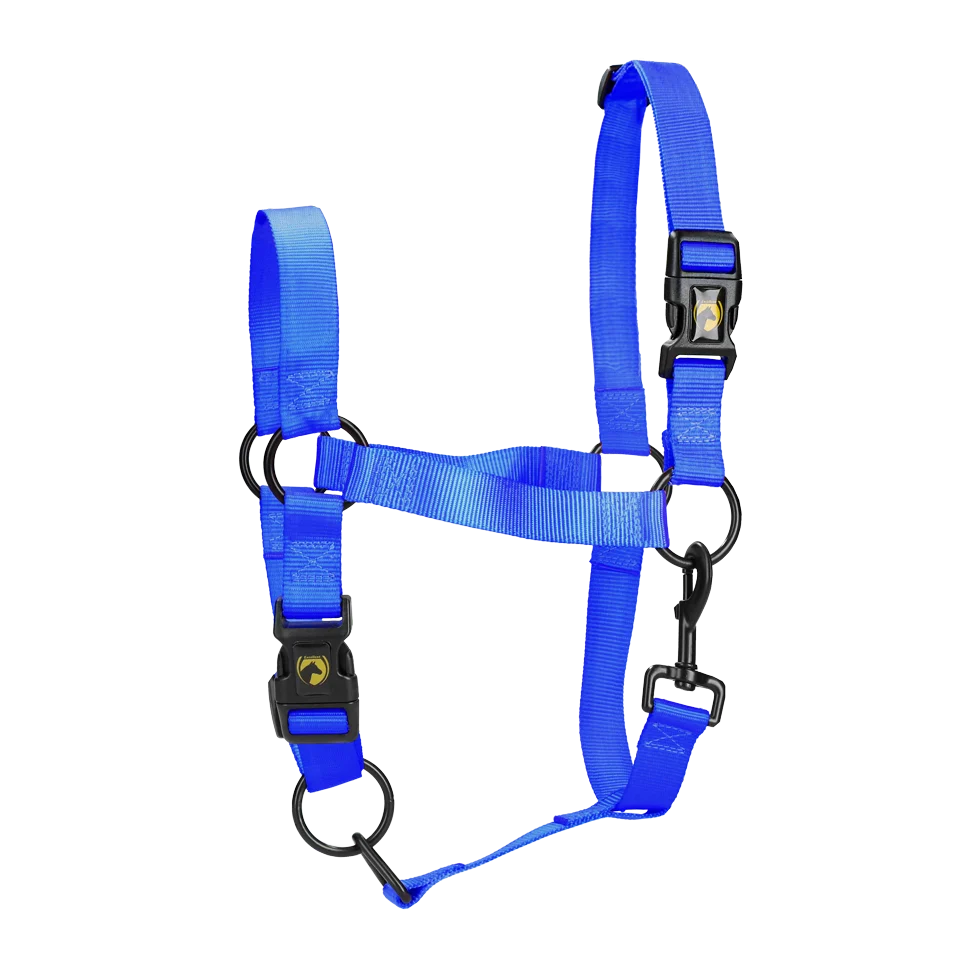 Nylonowy kantar z regulowanym nachrapnikiem, niebieski XS – Excellent Essential - obrazek 1