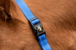 Nylonowy kantar z regulowanym nachrapnikiem, niebieski XS – Excellent Essential - obrazek 2