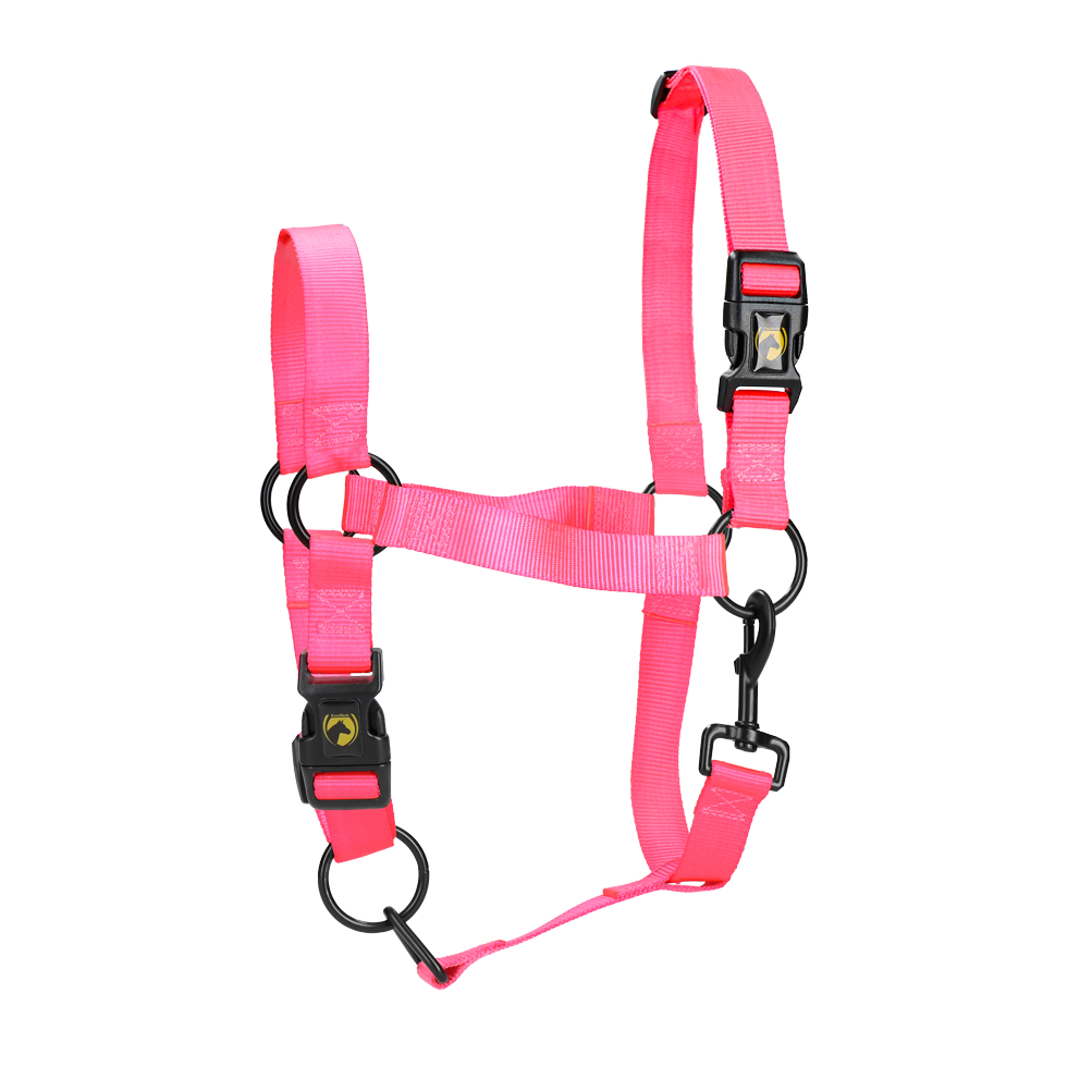 Halster van Nylon met Verstelbare Neusriem en Kopstuk, Roze XL – Excellent Essential Kantar nylonowy z regulowanym nachrapnikiem i paskiem potylicznym, różowy XL – Excellent Essential