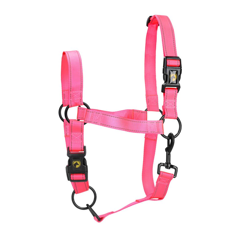 Halster van Nylon met Reflecterende Details, Roze XS – Excellent Premium Kantar nylonowy z elementami odblaskowymi, różowy XS – Excellent Premium