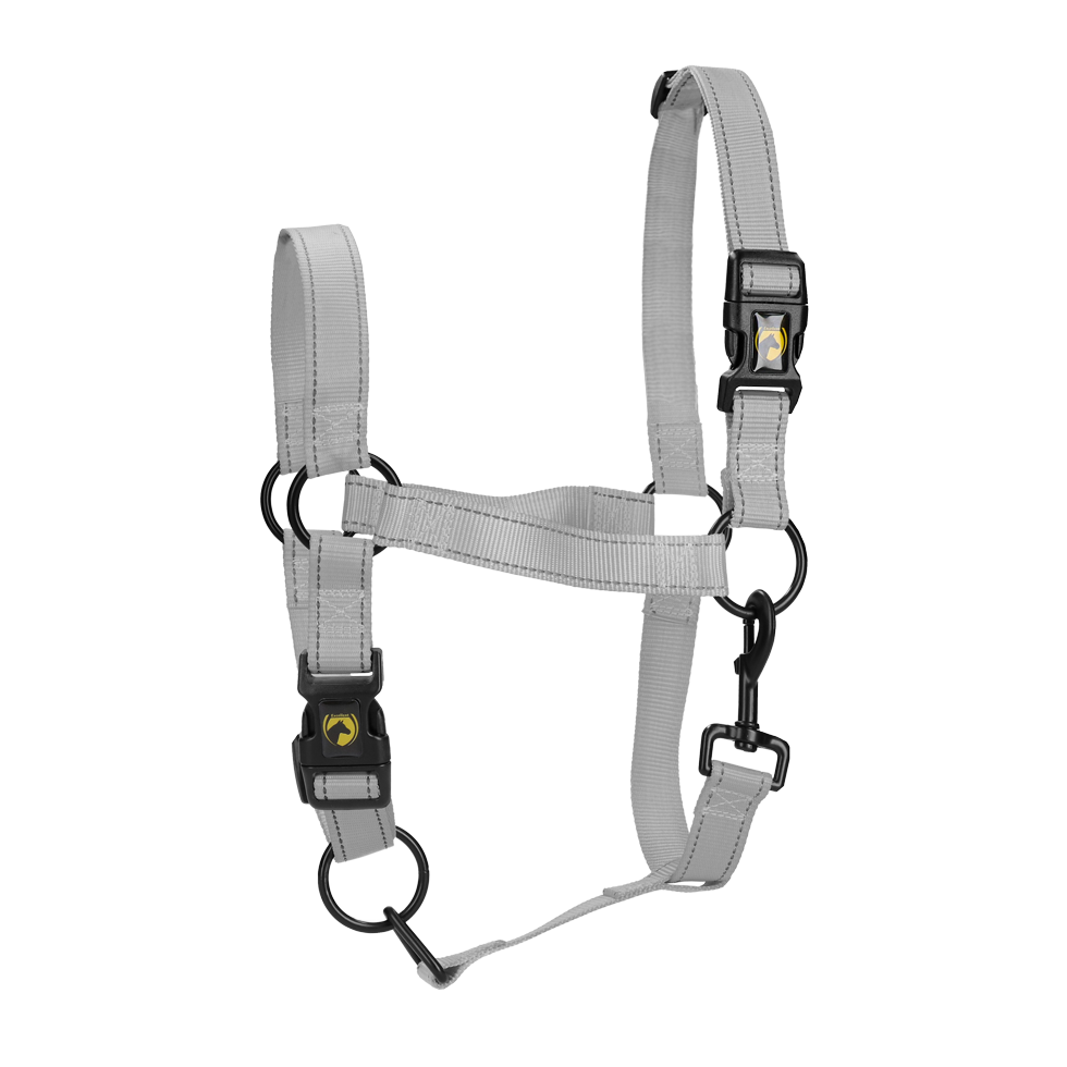 Halster van Nylon met Reflecterende Details Grijs XL – Excellent Premium Kantar nylonowy z elementami odblaskowymi, szary, XL – Excellent Premium