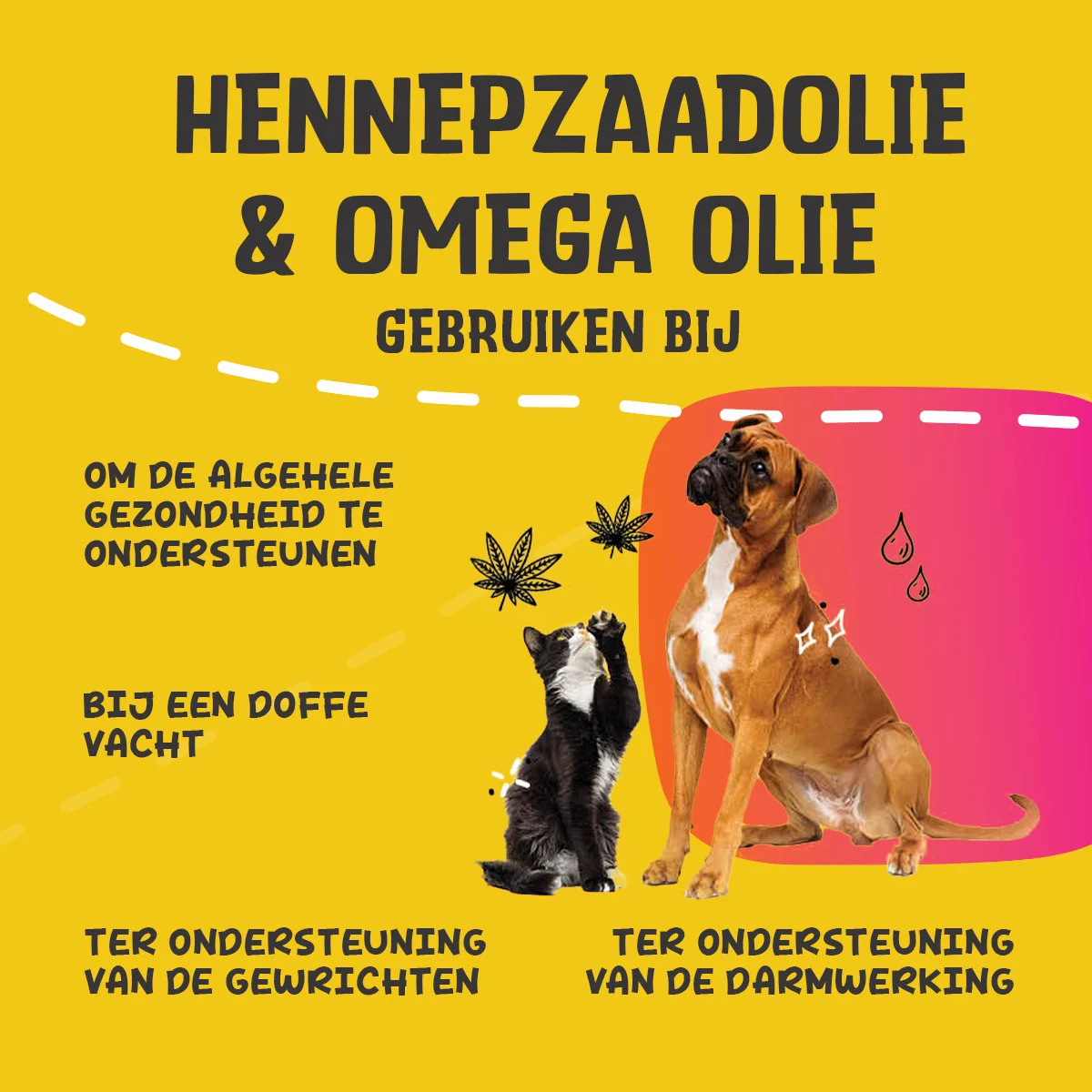 Mieszanka olejów dla psów i kotów z olejem z nasion konopi, 100 ml – Excellent Pets HempOne + Omega Oil - obrazek 2