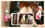 Spray do grzywy i ogona, ułatwiający rozczesywanie, 500 ml – Excellent Horse Hi Gloss Spray - obrazek 2