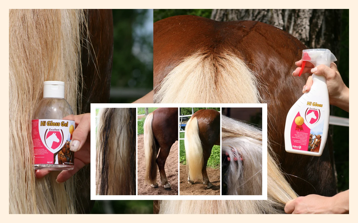 Spray do grzywy i ogona, ułatwiający rozczesywanie, 500 ml – Excellent Horse Hi Gloss Spray - obrazek 2